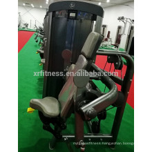 XH907 Biceps Curl from Ningjin xinrui fitness equipment factory